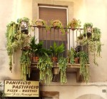 Taormina-Spójrz w górę na balkon